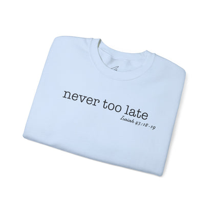 Men's Crewneck Sweatshirt