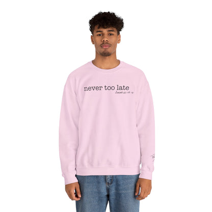 Men's Crewneck Sweatshirt