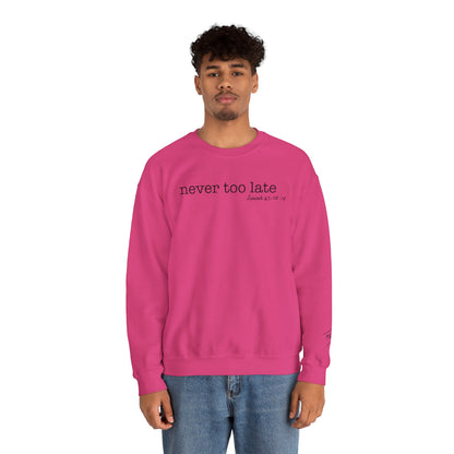 Men's Crewneck Sweatshirt