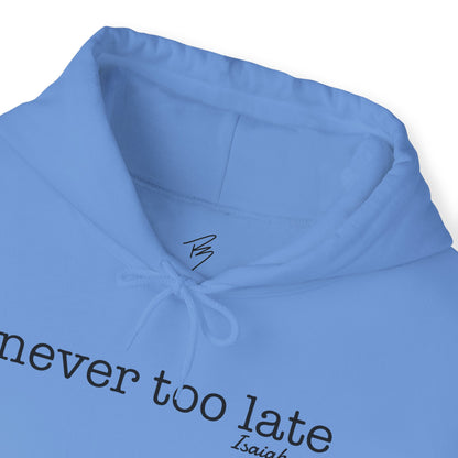 Men's Never Too Late Hooded Sweatshirt