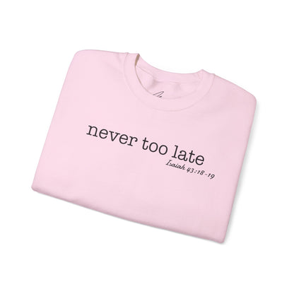 Men's Crewneck Sweatshirt