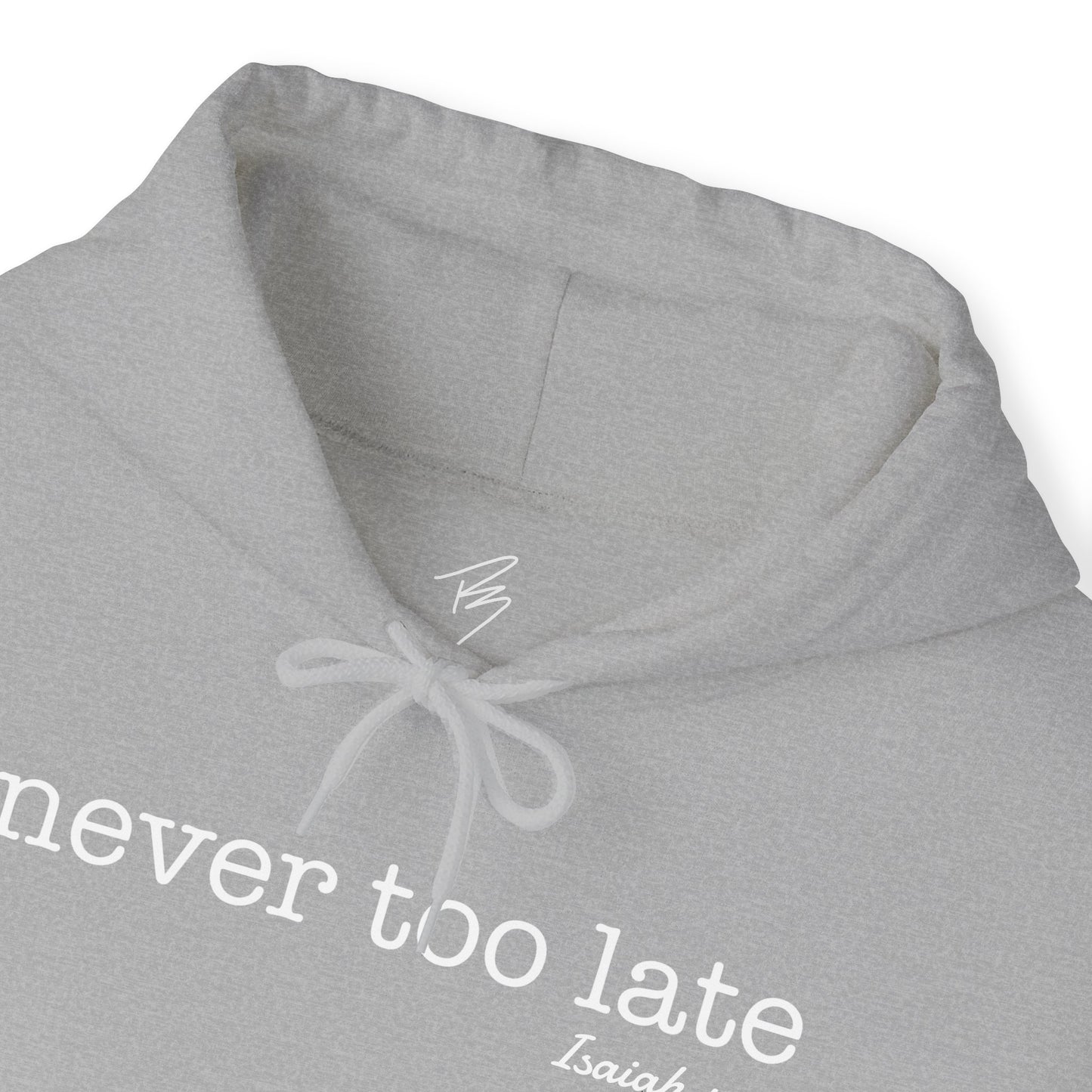 Men's Never Too Late Hooded Sweatshirt