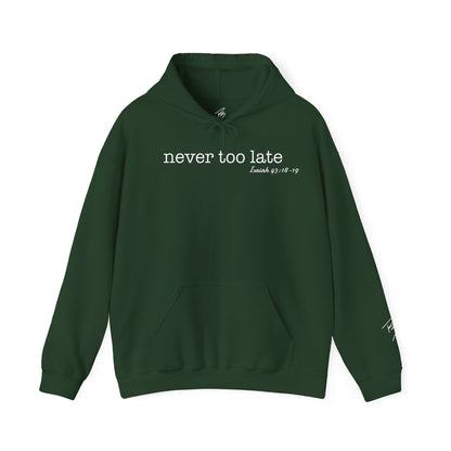 Men's Never Too Late Hooded Sweatshirt