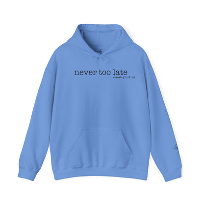 Men's Never Too Late Hooded Sweatshirt