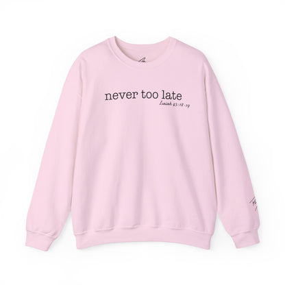 Men's Crewneck Sweatshirt