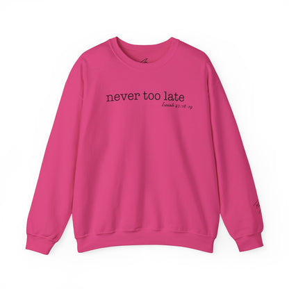 Men's Crewneck Sweatshirt