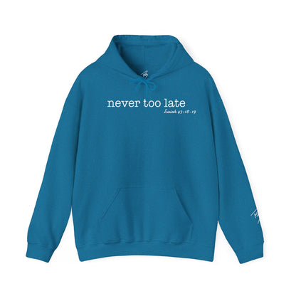 Men's Never Too Late Hooded Sweatshirt