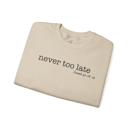 Men's Crewneck Sweatshirt